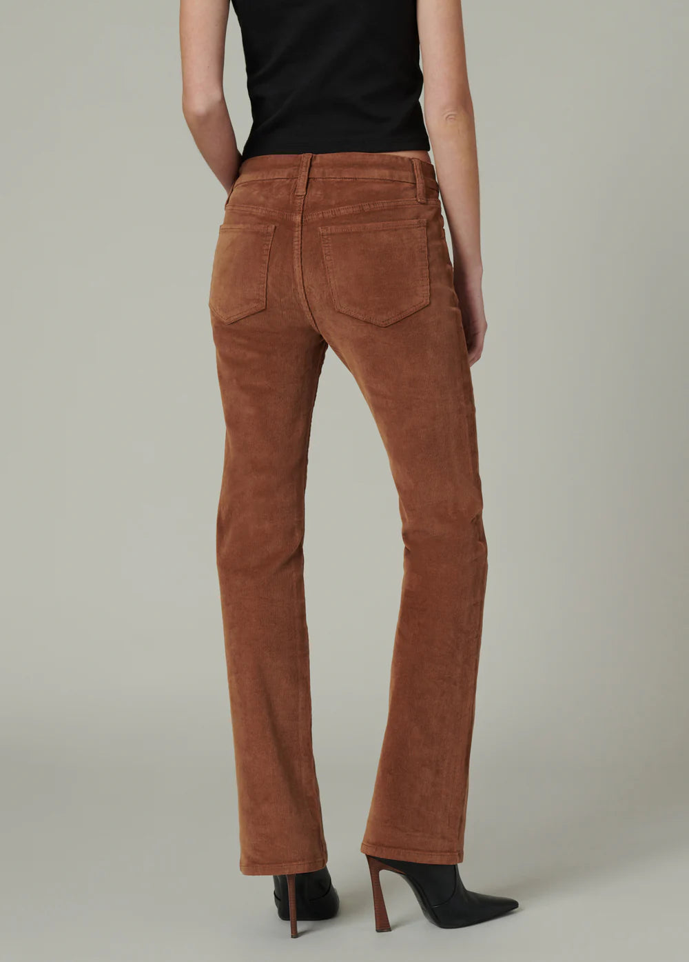The Provocateur Petite Bootcut