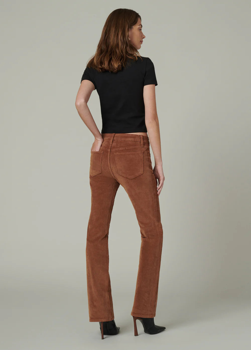 The Provocateur Petite Bootcut